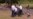 16x9 Image
