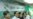 香港民主党公布与中央政府对话细节