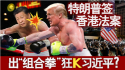 海峡论谈:特朗普签香港法案 出“组合拳”狂K习近平 海峡论谈:特朗普签香港法案 出“组合拳”狂K习近平