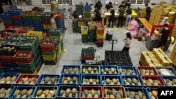 资料照:台湾屏东的工人正在一个货仓里整理装箱凤梨。(2021年3月16日)