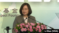 台湾总统蔡英文2017年8月8日就台湾的地区角色发表讲话(美国之音黎堡摄)