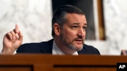 资料照:共和党联邦参议员克鲁兹(Sen. Ted Cruz, R-TX)