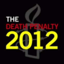 国际特赦组织2012年死刑报告的图标(amnesty international Site截图)