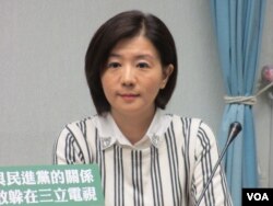 执政党国民党立委王育敏(美国之音张永泰拍摄)