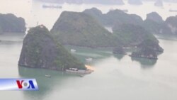 Từ chối du thuyền quốc tế vì corona, Quảng Ninh bị khiển trách Từ chối du thuyền quốc tế vì corona, Quảng Ninh bị khiển trách