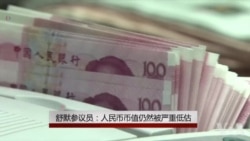 舒默参议员:人民币币值仍然被严重低估 舒默参议员:人民币币值仍然被严重低估
