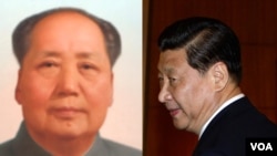 何清涟提出从“毛氏铁腕”到“毛式铁腕”,断言习近平统治时期将是“毛式铁腕+邓的国家(权贵)资本主义”