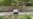 16x9 Image