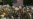 16x9 Image