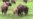 16x9 Image