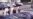 16x9 Image
