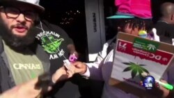 华盛顿大麻种子合法交换 华盛顿大麻种子合法交换