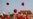 16x9 Image