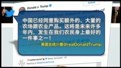 川普:中国将买下美国农民所有农产品 川普:中国将买下美国农民所有农产品