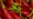 16x9 Image