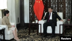 中国国家主席习近平在上海接见香港特首林郑月娥。(2019年11月4日)
