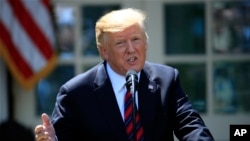 美国总统特朗普在华盛顿白宫玫瑰园发表讲话,谈论更新移民体系。(2019年5月16日)