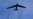 美军:B-52轰炸机抵达中东