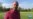16x9 Image