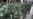 重庆万盛区示威被维稳 与薄案无关?