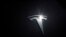 FILE: Logo Tesla di sebuah mobil di Los Angeles.