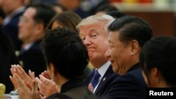 资料照:美国总统特朗普和中国国家主席习近平在北京人民大会堂出席国宴。 (2017年11月9日)