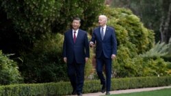美国总统拜登和中国国家主席习近平结束双边会谈后一起漫步在费罗丽庄园。(2023年11月15日)